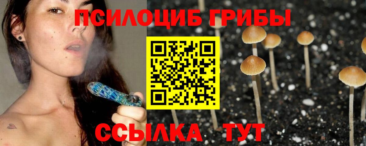 сколько стоит  Вход с VPN  Богородск  Псилоцибиновые грибы Psilocybine cubensis 